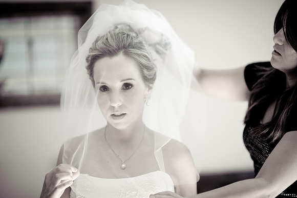 wedding and engagement-1148