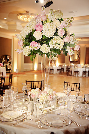 WeddingandEngagement-1273
