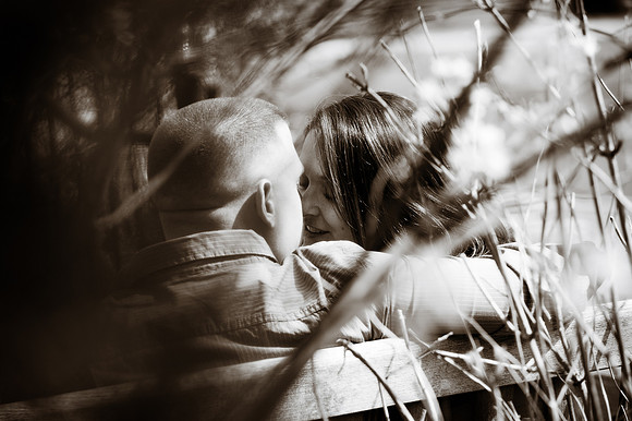 wedding and engagement-1156