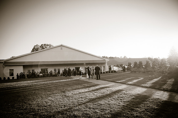wedding and engagement-1091