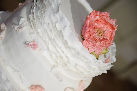 WeddingandEngagement-1276