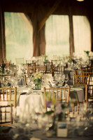 wedding and engagement-1015