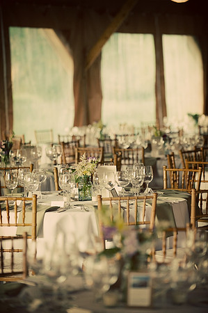 wedding and engagement-1015