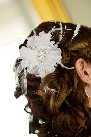 WeddingandEngagement-1288