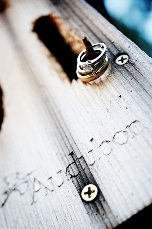 wedding and engagement-1014